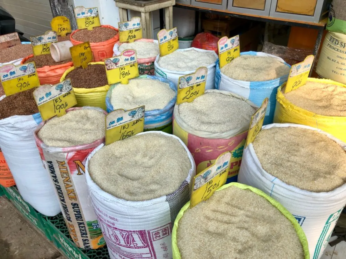 rice varieties